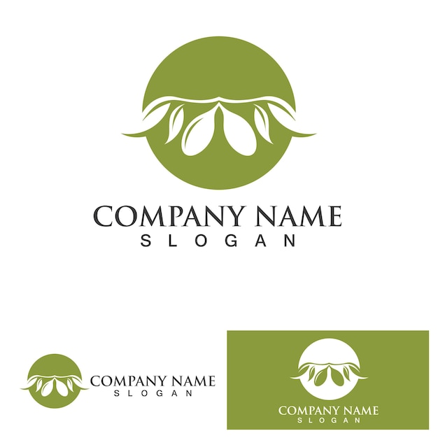 Olive tree logo vector illustration design template