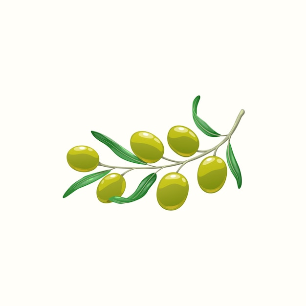 Olive tree twig berries and leaves cartoon icon