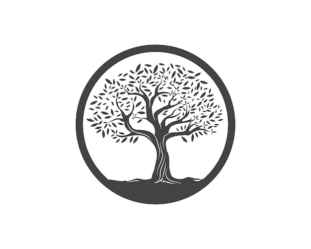 Premium Vector | Olive tree vector illustration
