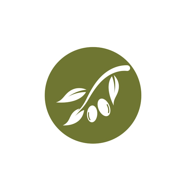 Olive tree vector illustration