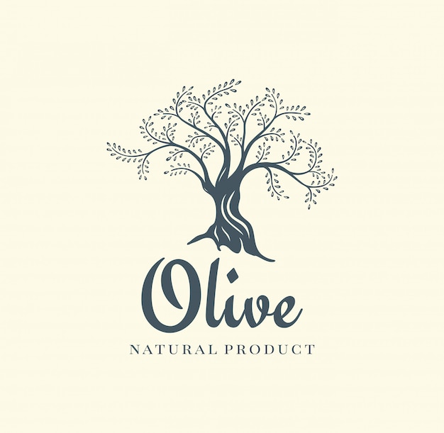 Modello di progettazione di logo di vettore di olivo per olio