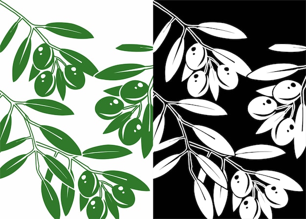 olive vector hand drawn green fruit retro leaves on white_background