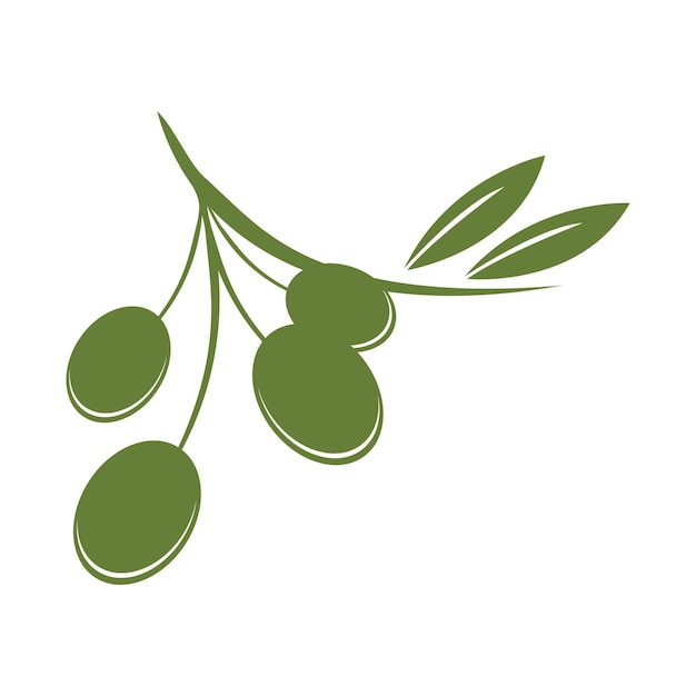 Premium Vector | Olive