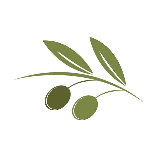 Premium Vector | Olive