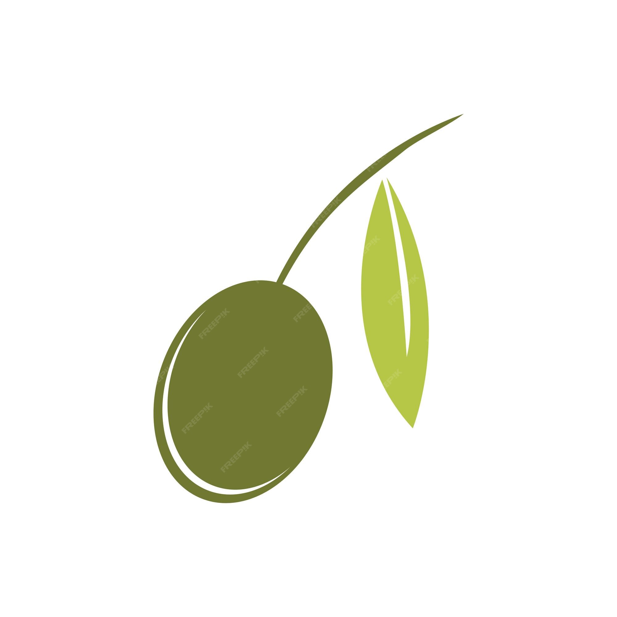 Premium Vector | Olive