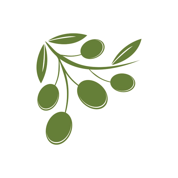 Premium Vector | Olive
