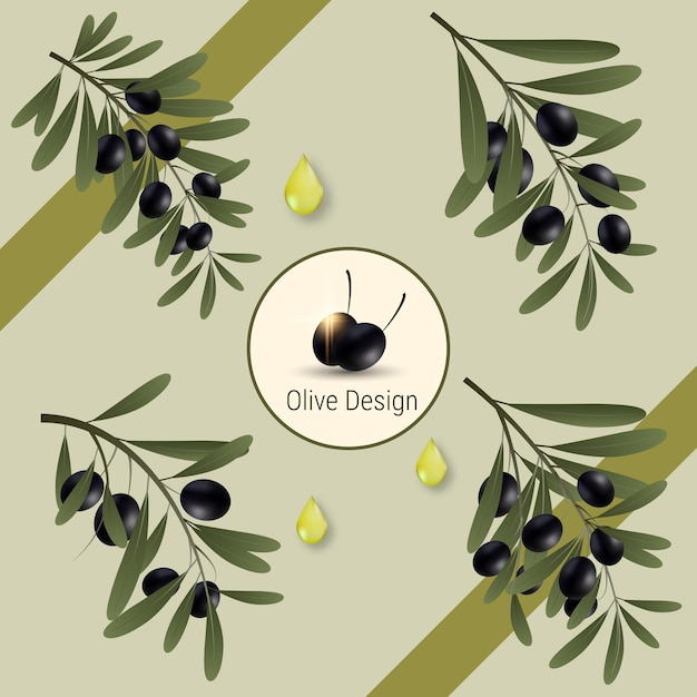 Olives branches with ripe fruits and leaves vector icons