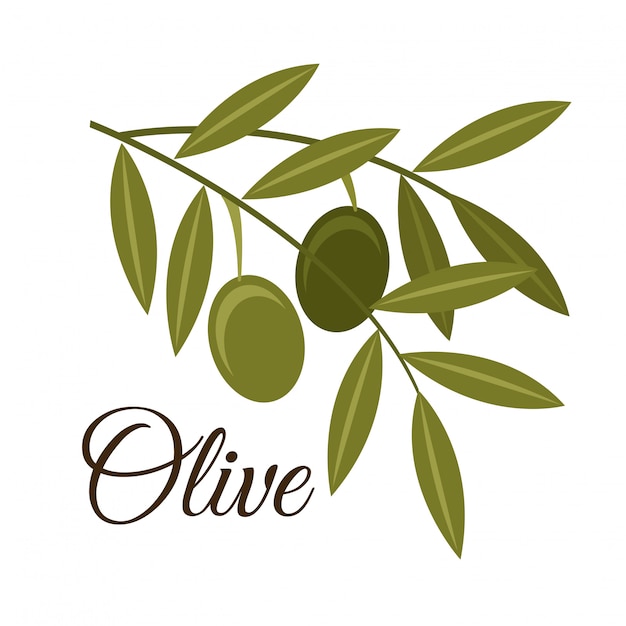 Olives design over white background vector illustration