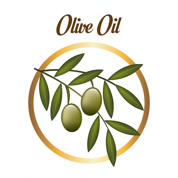 Olives design over white background vector illustration