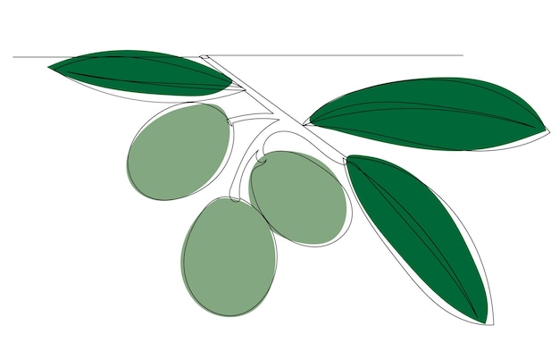 Olive che disegnano da uno schizzo a linea continua