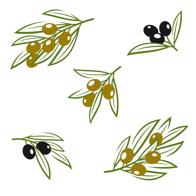 Olives set Collection icon olives Vector