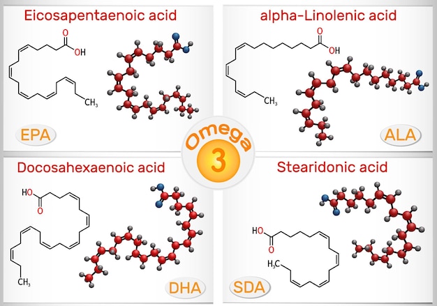 Vector omega3 polyunsaturated fatty acids vector illustration