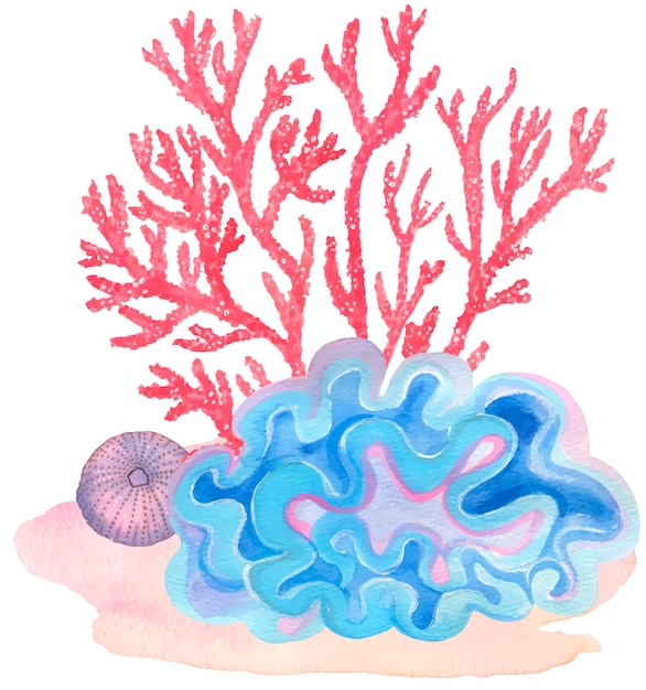Onder water. Kleurrijke koralen. Hand schilderij aquarel illustratie. Onder oceaan, het wild.
