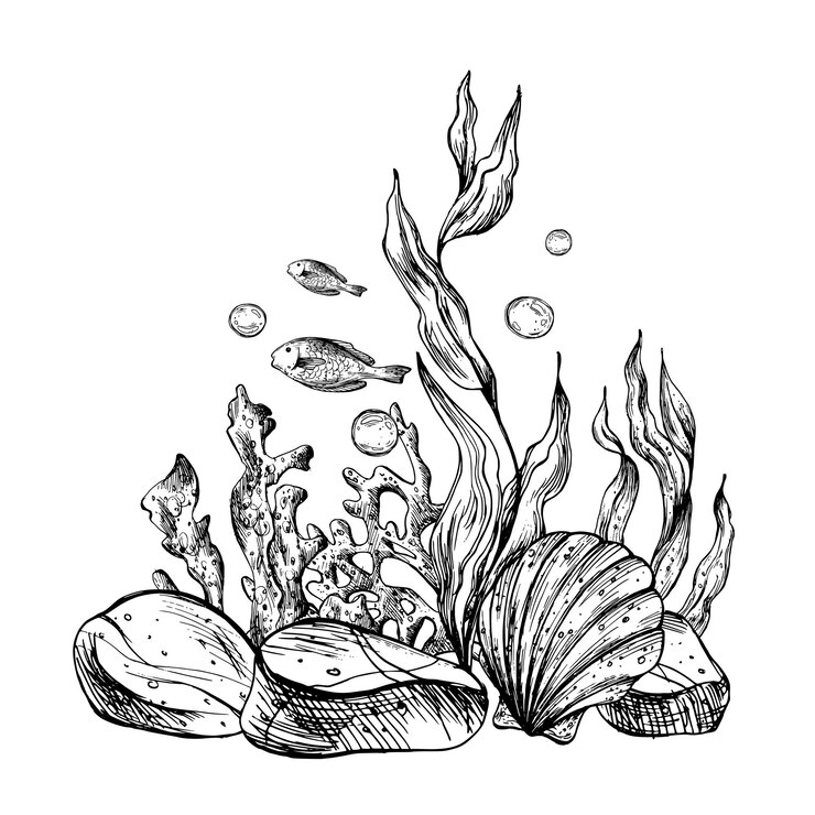 Vector onderwaterwereld clipart met zeedieren vis kiezels bubbels koraal en algen grafische illustratie