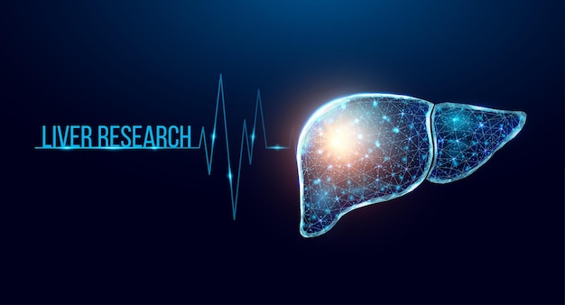 Onderzoek naar de menselijke lever. Wireframe laag poly stijl. Concept voor medisch, farmacologie, behandeling van de hepatitis. Abstracte moderne 3d vectorillustratie op donkerblauwe achtergrond.