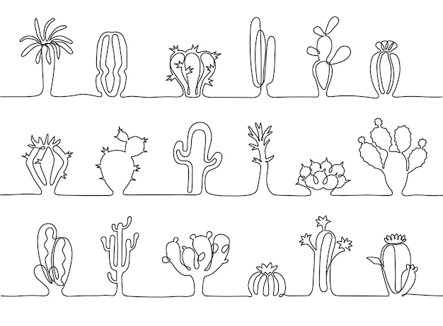 하나의 연속 선 선인장 줄무늬 손으로 그린 식물 식물 다른 유형의 멕시코 사막 선인장 벡터 그림 세트