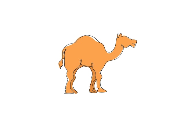 Vector one continuous line drawing arabian camel wild animal national park conservation safari zoo vector