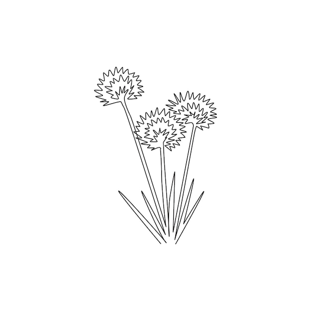 One continuous line drawing beauty allium tuberosum for home decor garlic chives flower draw vector