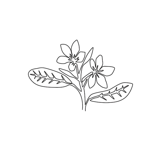 Un disegno a linea continua di bellezza plumeria per l'arte dell'arredamento della casa fiore di frangipani stampabile per icona