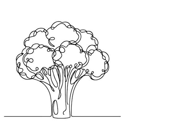 one continuous line drawing of broccoli on isolated transparent background