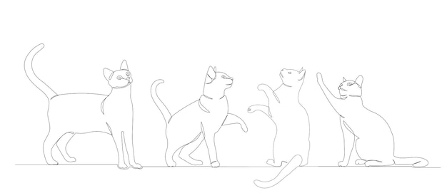 Un disegno a linea continua di un vettore gatto