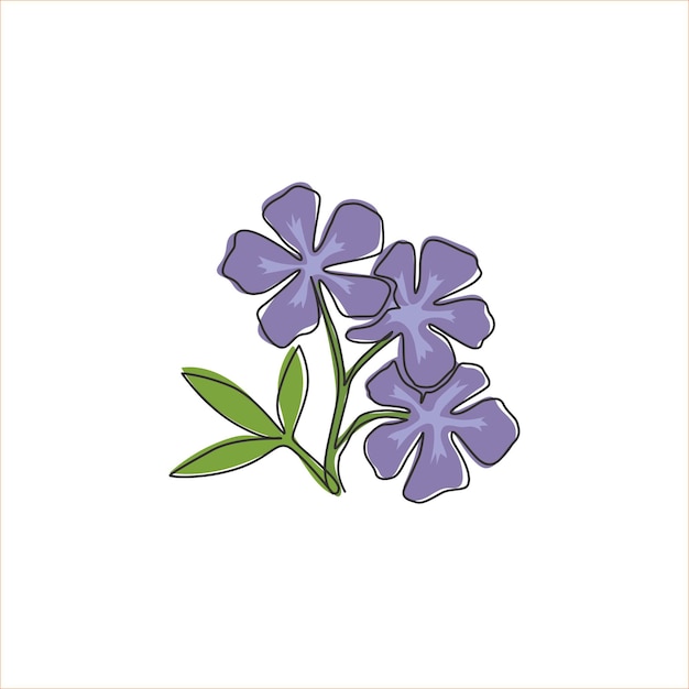 Vector one continuous line drawing catharanthus home wall decor decorative periwinkle flower design vector