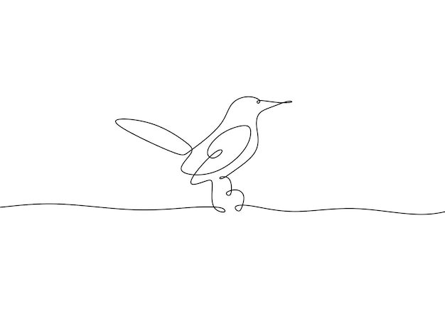 Vector one continuous line drawing of cute hummingbird hand drawn line art tropical bird