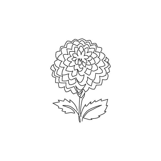 One continuous line drawing fresh dahlia for home wall poster art Single line flower design vector