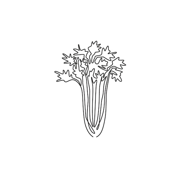 Vector one continuous line drawing of healthy organic green celery fresh marshland plant vegetable icon