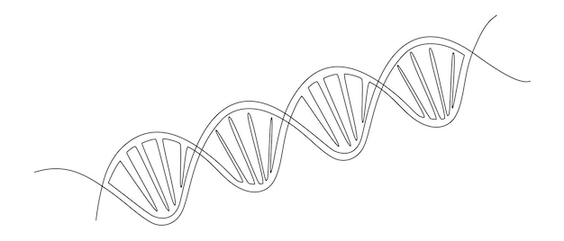 Vector one continuous line drawing of helix dna minimalist concept of medical and science biotechnology in simple linear style human genome structure in editable stroke doodle vector illustration