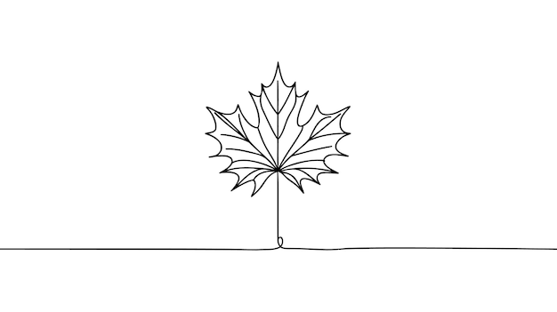 One continuous line drawing of isolated vector object maple leaf