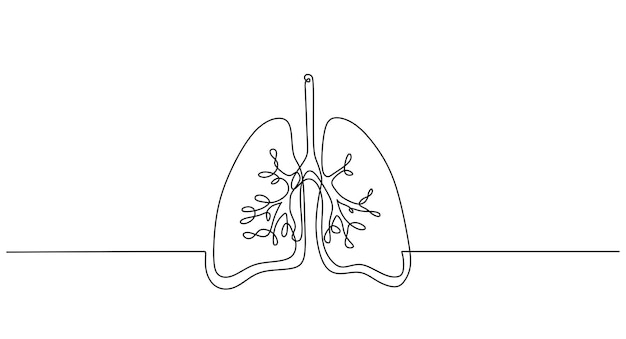 Vector one continuous line of lungs isolated on white background