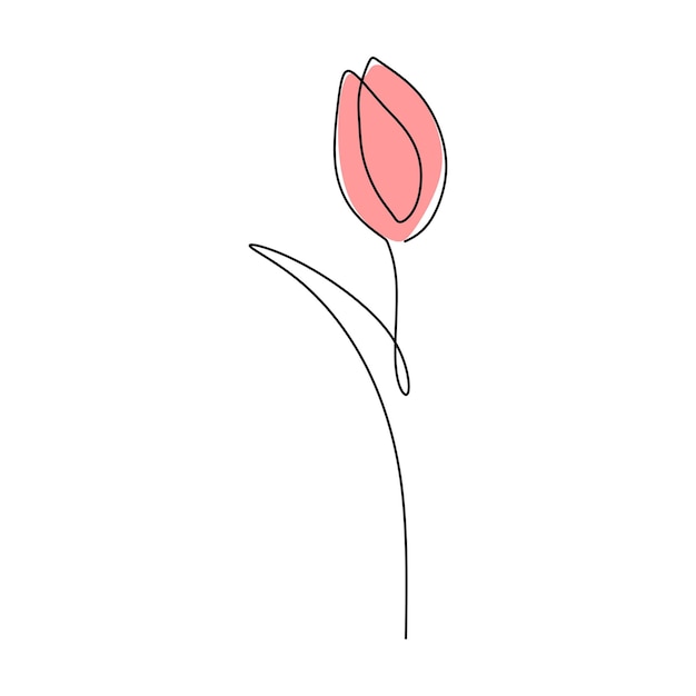 One continuous single line of Tulip spring flower with red color isolated on white background