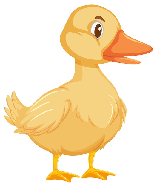 Vector one cute duck