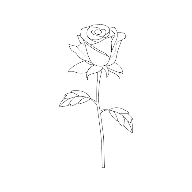 Rose flower Royalty Free Stock Vector Clip Art