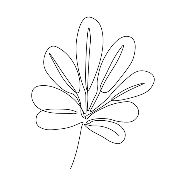 One line continuous boho leaves single line drawing art boho plant art botanical leaves isolated