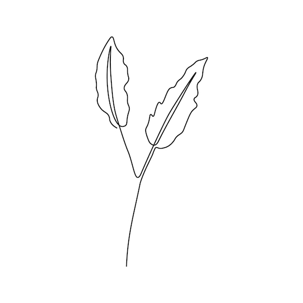 One line continuous boho leaves single line drawing art boho plant art botanical leaves isolated