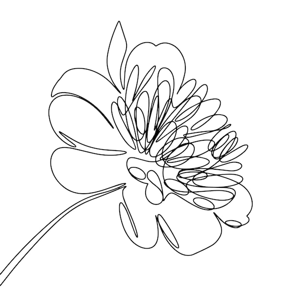 One line continuous flower peony line art outline vector illustration spring flower isolated hand