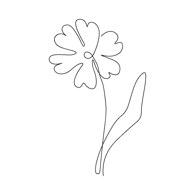 One line continuous flower single line drawing art flower art botanical flower isolated