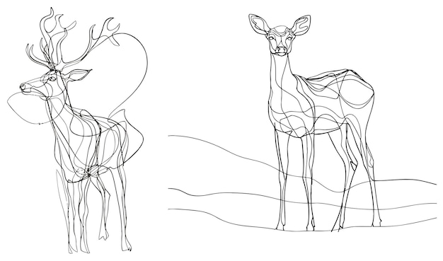 Vector one line design silhouette of deer