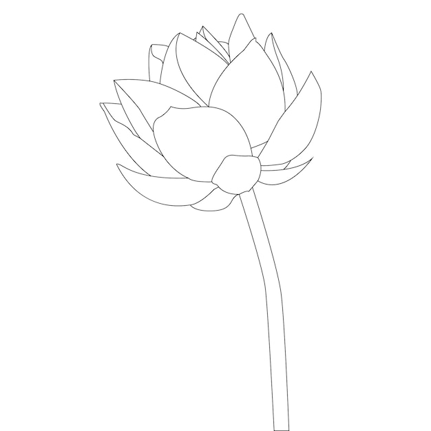 one line drawing flower