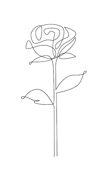 Vector one line drawing garden rose with leaves hand drawn sketch