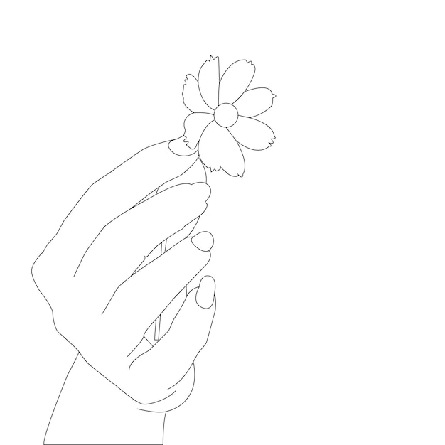 one line drawing hand holding flower