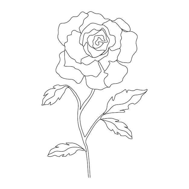 One line drawing minimalist flower illustration in line art style