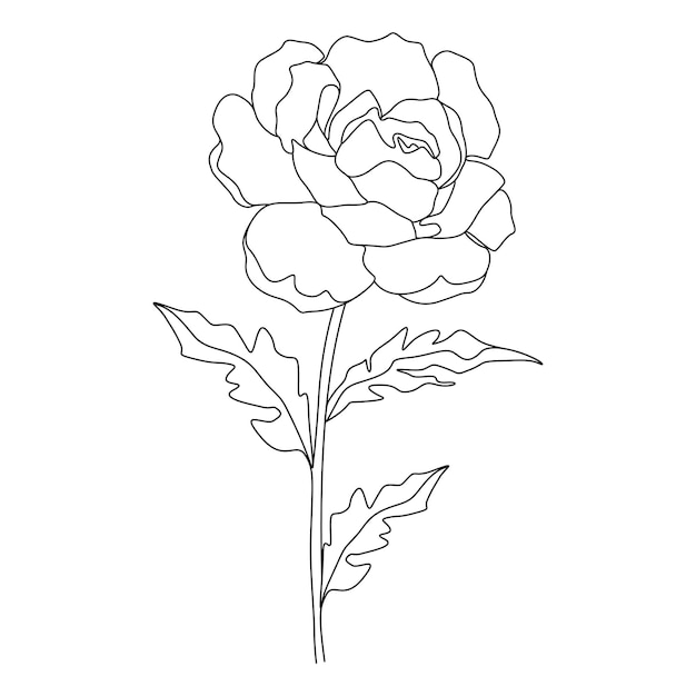 One line drawing minimalist flower illustration in line art style