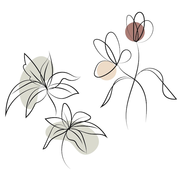 One line drawing minimalist flower illustration in line art style