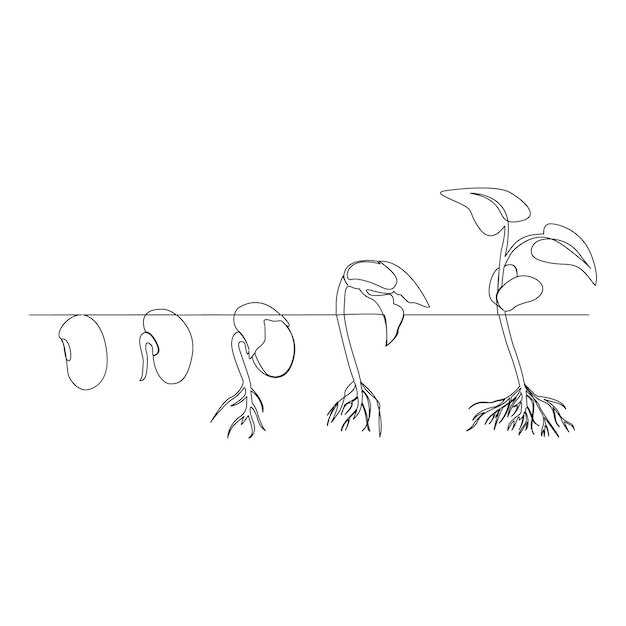 Premium Vector One line drawing plant growth processing illustration