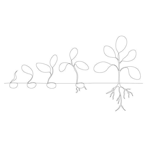 Vector one line drawing plant growth processing outline vector illustration