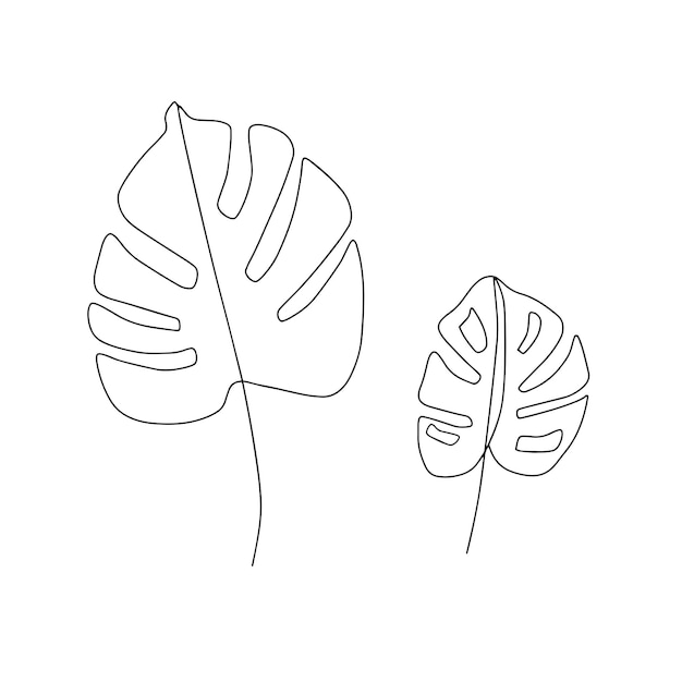 Однолинейный рисунок простых листьев