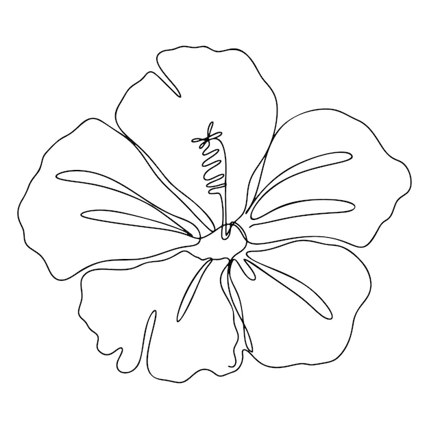 One Line Drawing Single Continuous Line Sketch Flower